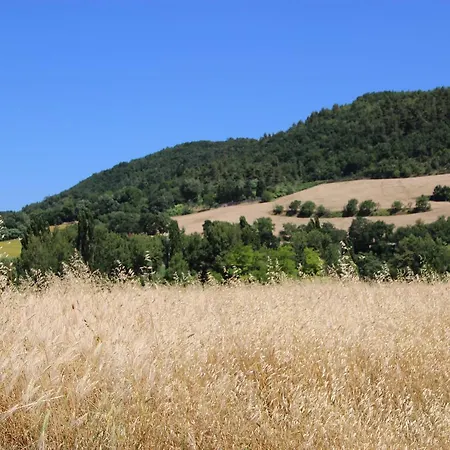Calbertone Family And Bike Holidays Villa