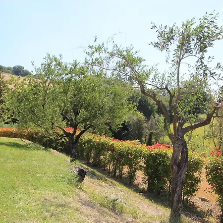 Villa Calbertone Family And Bike Holidays